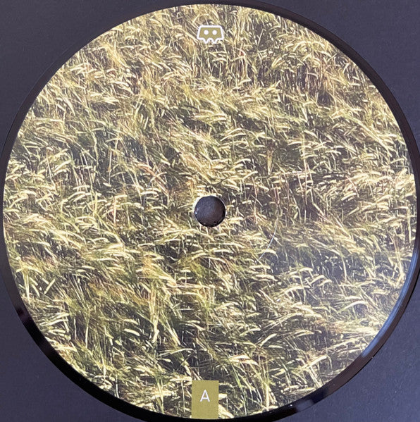 Skee Mask : Pool (3x12", Album, 180)