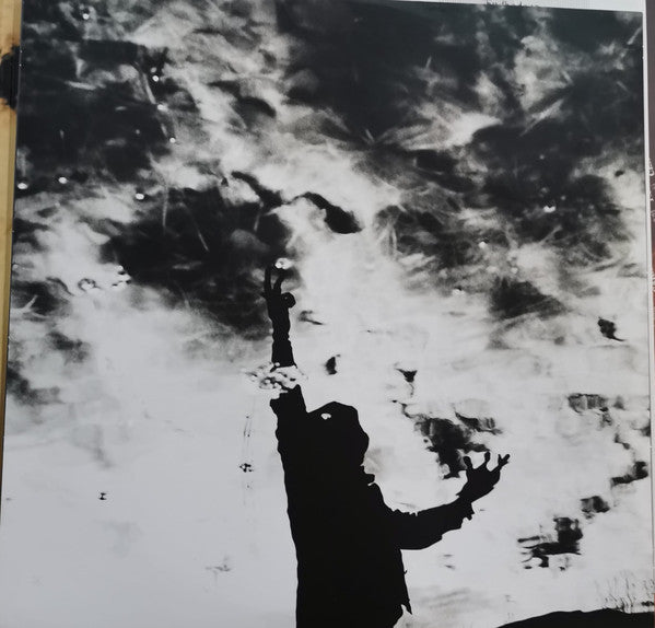Verdena : Endkadenz Vol. 1 (2xLP, Album, RE)