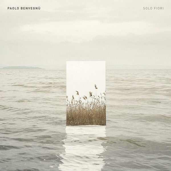 Paolo Benvegnù : Solo Fiori (12", EP)