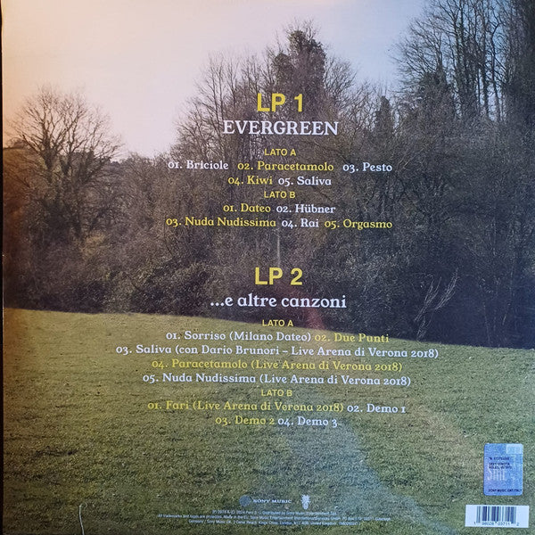 Calcutta : Evergreen...E Altre Canzoni (2xLP, Album, Dlx, Ltd, RE, Blu)
