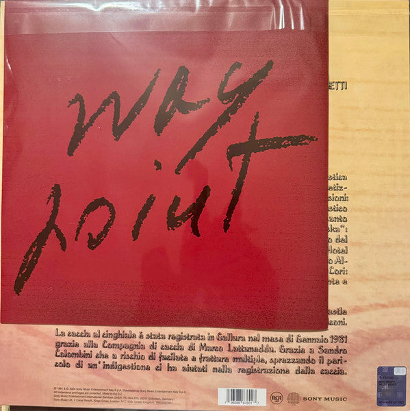 Fabrizio De André : Fabrizio De André (L'Indiano) (LP, Album, RE, RM, 180)
