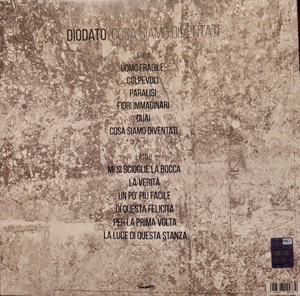 Diodato : Cosa Siamo Diventati (LP, Album, RE)