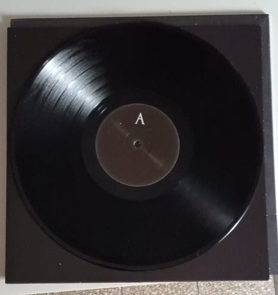 Assalti Frontali : Notte Immensa (LP, Album)