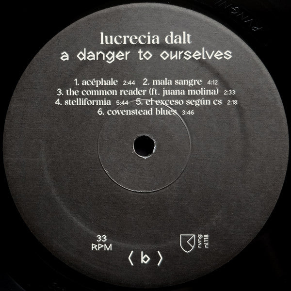 Lucrecia Dalt : A Danger To Ourselves (LP, Album)