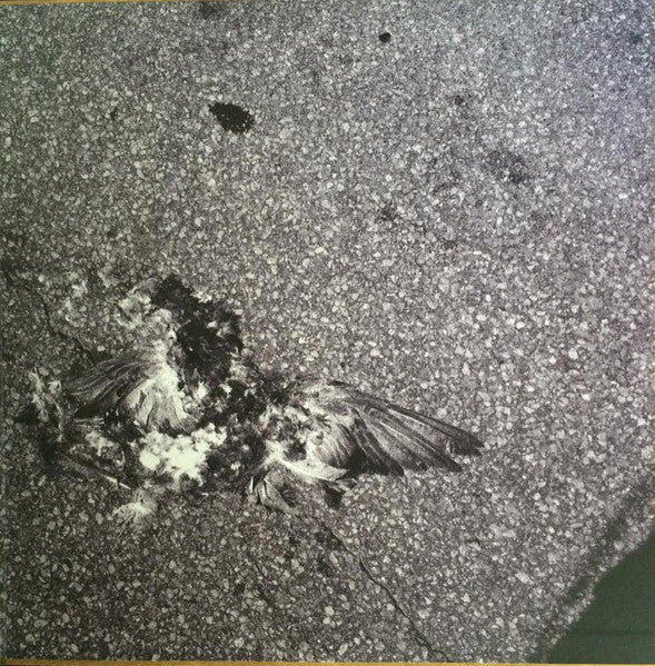 Godspeed You Black Emperor! : 'Allelujah! Don't Bend Ascend (LP + 7" + Album)