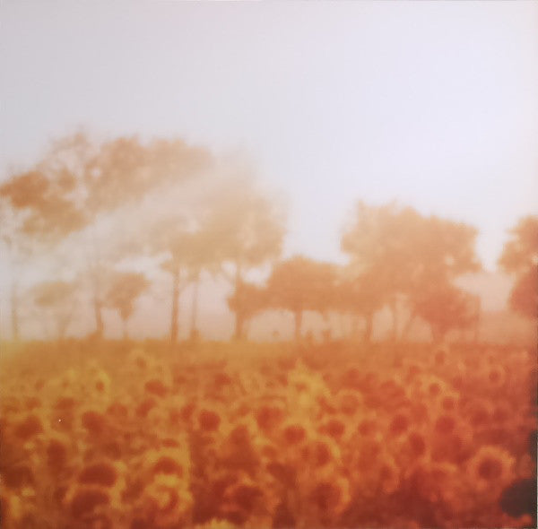 Kruder & Dorfmeister : The K&D Sessions™ (5x12", Comp, RE, RM, Tri)