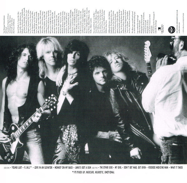 Aerosmith : Pump (LP, Album, RE, 180)