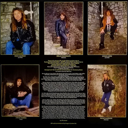 Iron Maiden : Fear Of The Dark (2xLP, Album, RE, RM, 180)