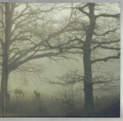 Wolf Alice : Visions Of A Life (2xLP, Album, 180)