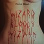Electric Wizard (2) : Wizard Bloody Wizard (LP, Album)