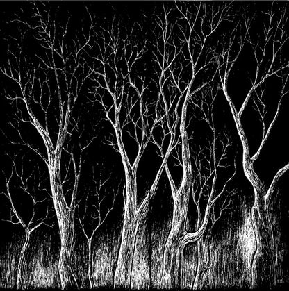 Radiohead : The King Of Limbs (LP, Album, RE, RP)
