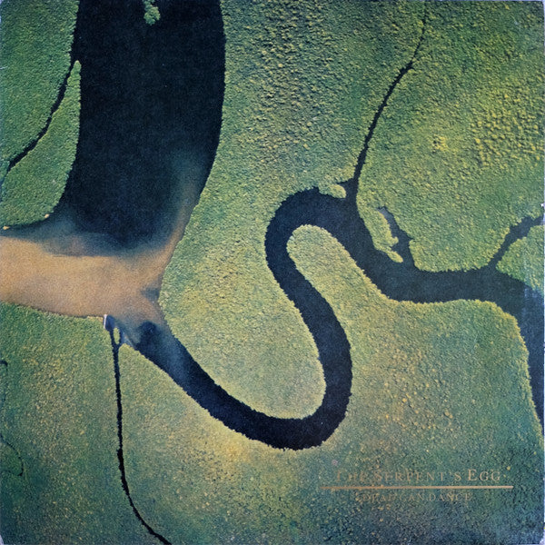 Dead Can Dance : The Serpent's Egg (LP, Album)