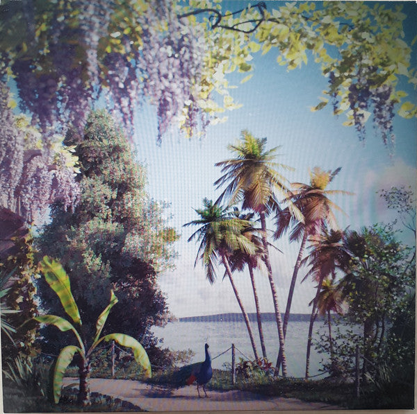 Beirut : Gallipoli (LP, Album)