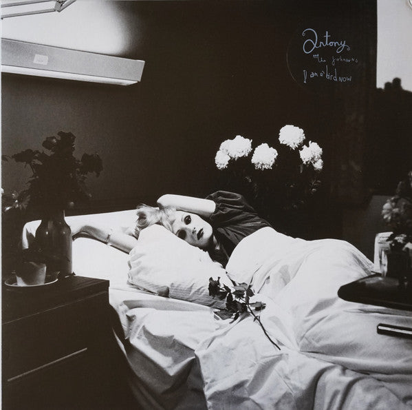 Antony And The Johnsons : I Am A Bird Now (LP, Album, RE)