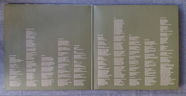 Big Thief : Two Hands (LP, Album)