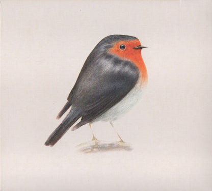 Brunori Sas : {Cip!} (CD, Album)