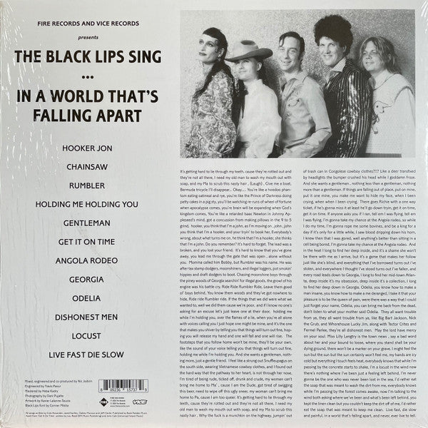 The Black Lips : In A World That's Falling Apart (LP, Album, Dlx, Ltd, Red)