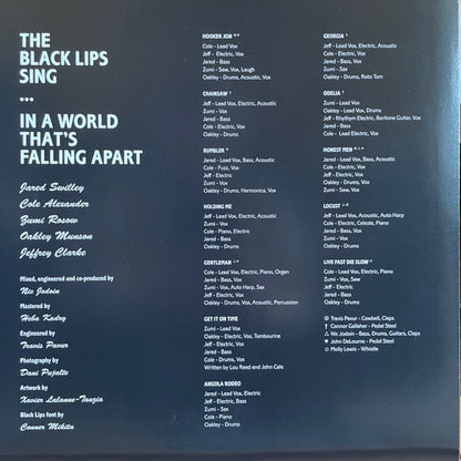 The Black Lips : In A World That's Falling Apart (LP, Album, Dlx, Ltd, Red)