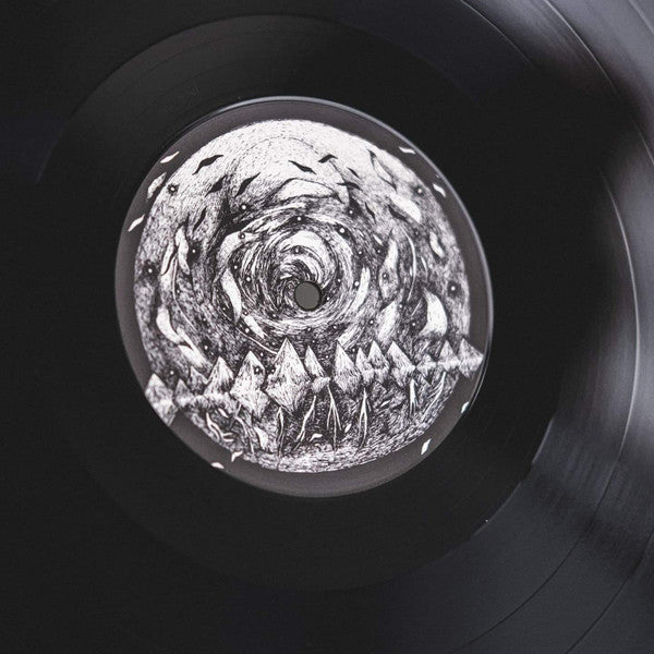 Organic Pulse Ensemble : The Light Comes Black (LP, Album, Ltd)