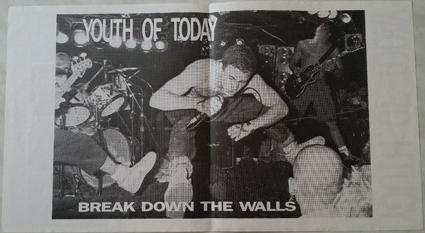 Youth Of Today : Break Down The Walls (LP, Album, RE)