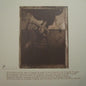 Pixies : Surfer Rosa (LP, Album, RE, 180)