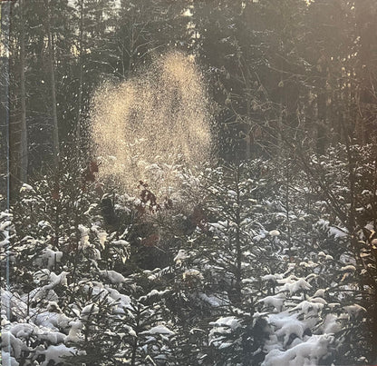 Skee Mask : Pool (3x12", Album, 180)