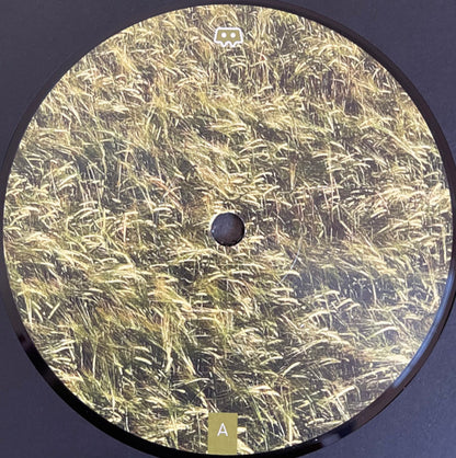 Skee Mask : Pool (3x12", Album, 180)