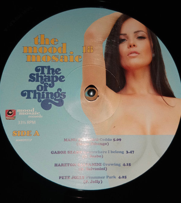 Various : The Mood Mosaic 18 (The Shape Of Things) (2xLP, Comp, Ltd)