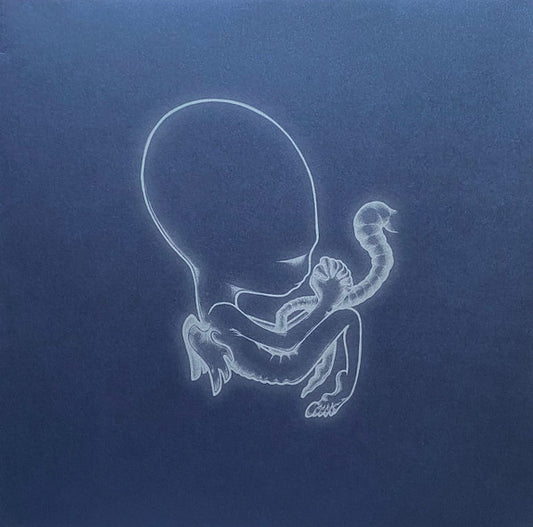 Sigur Rós : Ágætis Byrjun (2xLP, Album, RE)