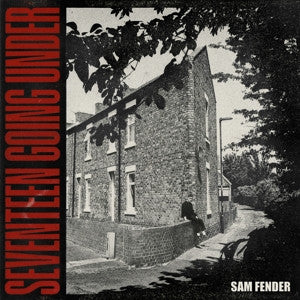 Sam Fender : Seventeen Going Under (LP, Album)