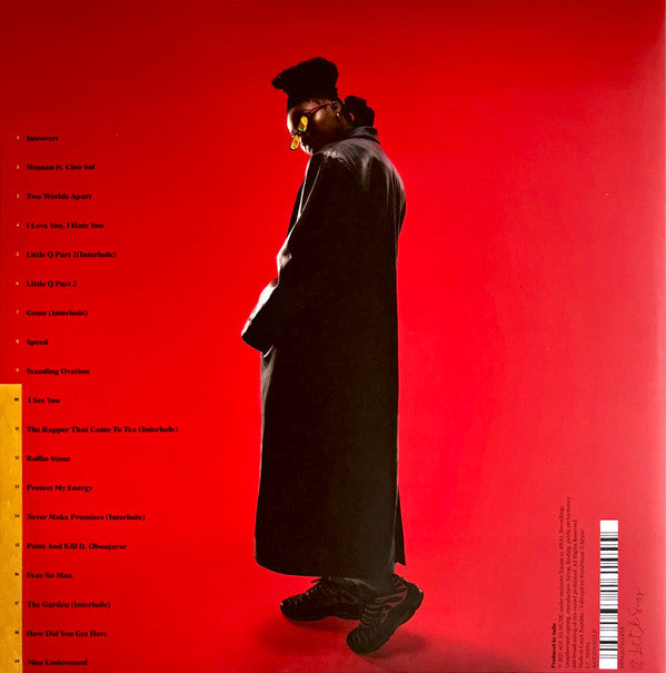 Little Simz : Sometimes I Might Be Introvert (2xLP, Album, RE, Mil)