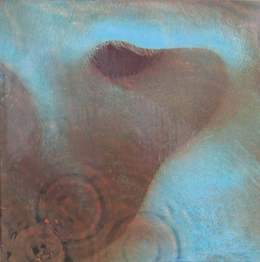 Pink Floyd : Meddle (LP, Album, U P)