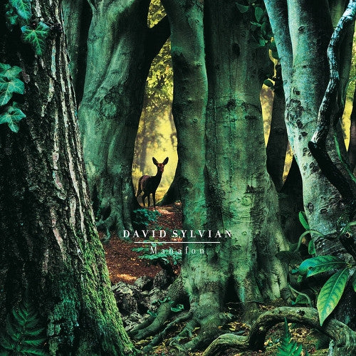 David Sylvian : Manafon (2xLP, Album, RE, 180)