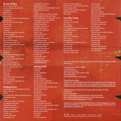Foo Fighters : Medicine At Midnight (LP, Album)