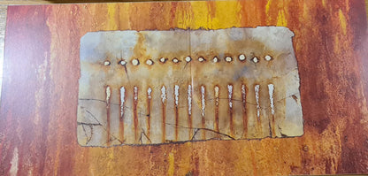 Nine Inch Nails : The Downward Spiral (2xLP, Album, RE, RM, Def)