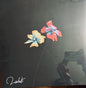 Diodato : Così Speciale  (LP, Album, Gat)