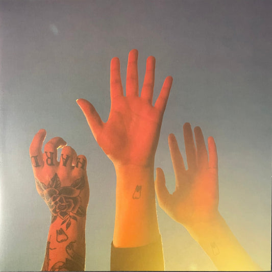 boygenius : The Record (LP, Album, Gat)