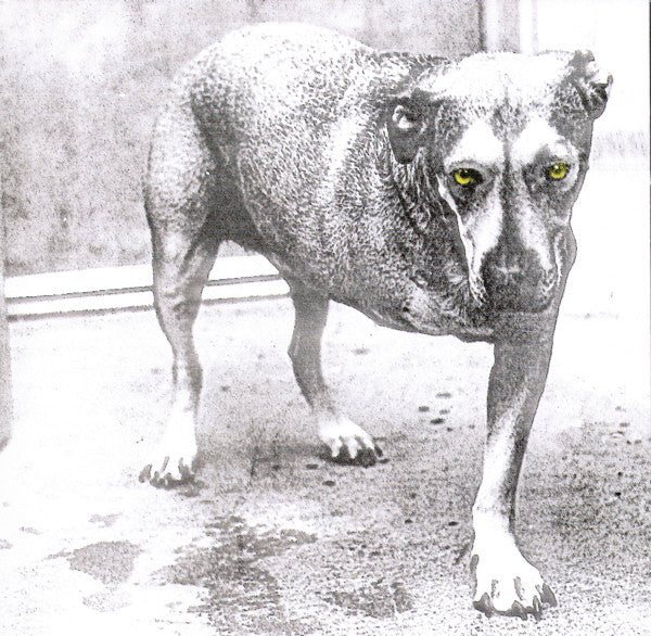 Alice In Chains : Alice In Chains (CD, Album, RE)