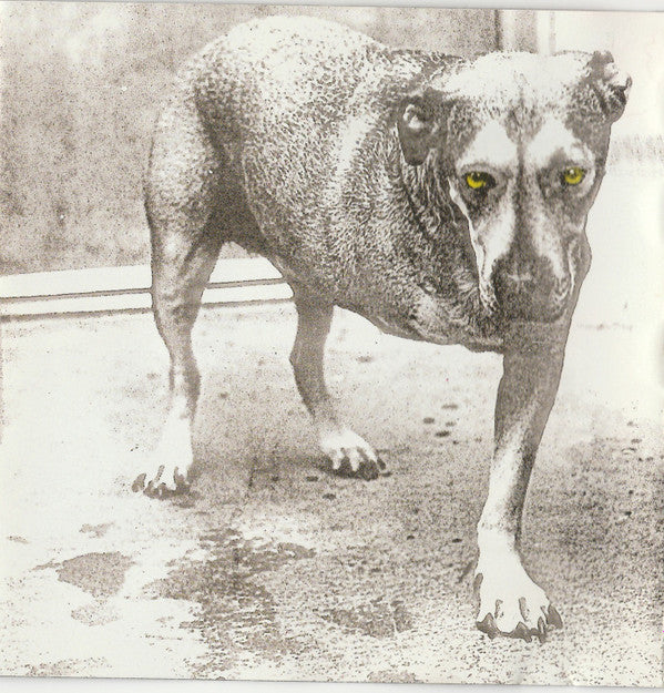 Alice In Chains : Alice In Chains (CD, Album, RE)