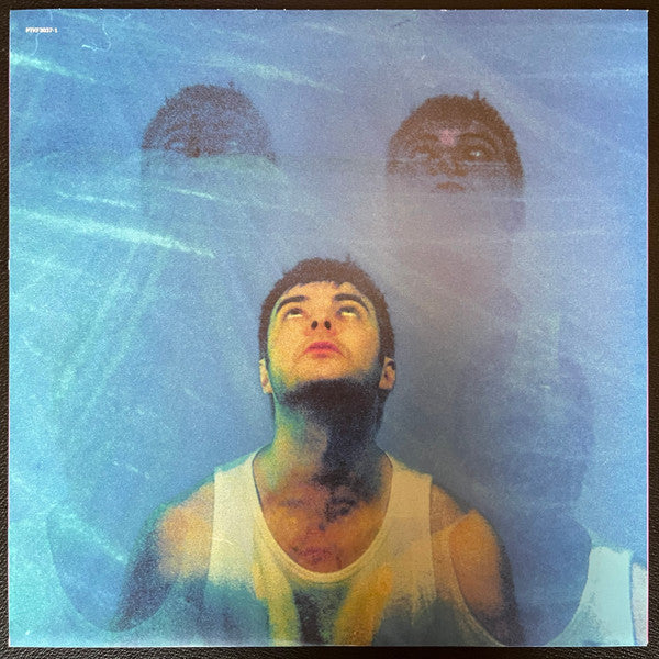 Grian Chatten : Chaos For The Fly (LP, Album)