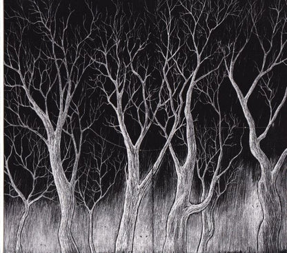 Radiohead : The King Of Limbs (CD, Album)