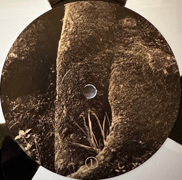 Godflesh : Pure (LP, Album, Ltd, RE, Whi)