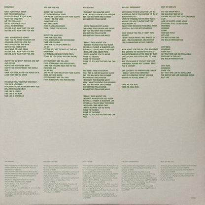 Blonde Redhead : Sit Down For Dinner (LP, Album)