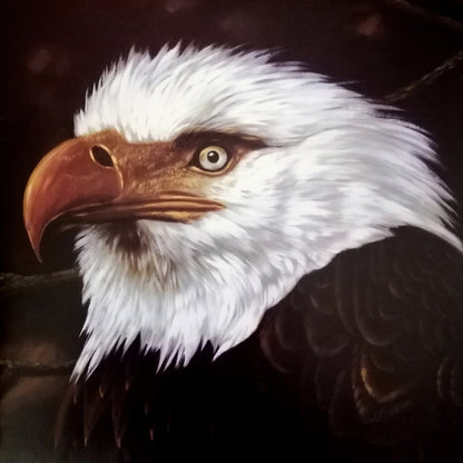 Mogwai : The Hawk Is Howling (2xLP, Album, Ltd, RE, RM, Whi)