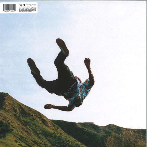 Tyler, The Creator : Wolf (2xLP, Album, RP, Pin)