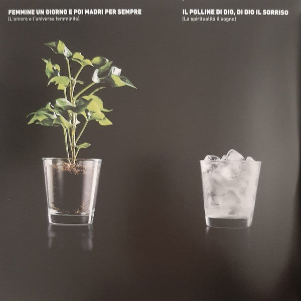 Fabrizio De André : Tu Che M'Ascolti Insegnami (LP, Comp, 180 + LP, Comp, 180 + LP, Comp, 180 + LP)