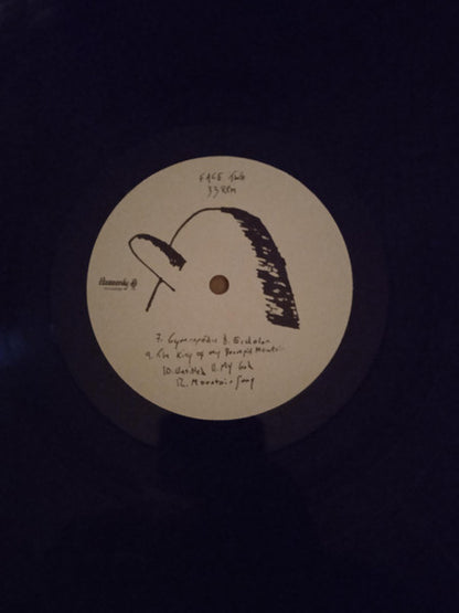 Tapir! : The Pilgrim, Their God The King Of My Decrepit Mountain (LP, Album)