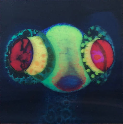 Osees* : SORCS 80 (LP, Album, Ltd, Gre)
