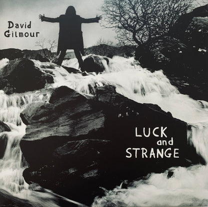 David Gilmour : Luck And Strange (LP, Album, Sea)