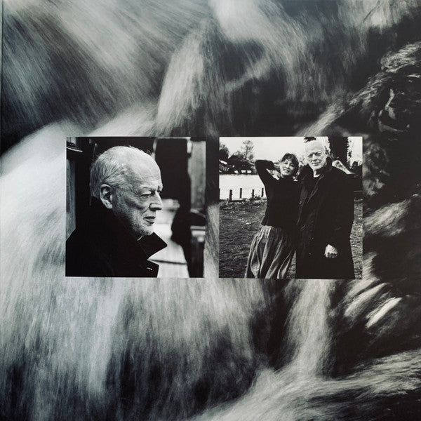 David Gilmour : Luck And Strange (LP, Album, Sea)